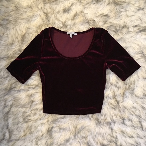Charlotte Russe Tops - Velvet crop top Charlotte Russe Tops - Velvet crop top